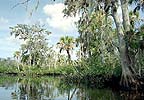 Loxahatchee River